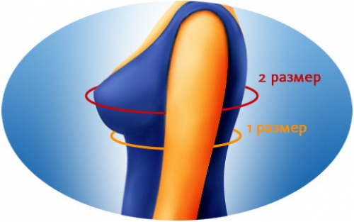 Советы по выбору бюстгальтера
