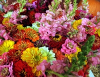 Какие цветы подарить даме, у которой юбилей осенью?