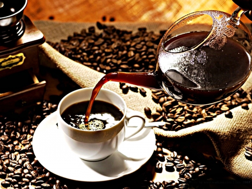 Правильный выбор кофеварки – залог качественного и вкусного кофе