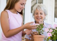 Какие цветы дарить бабушке?